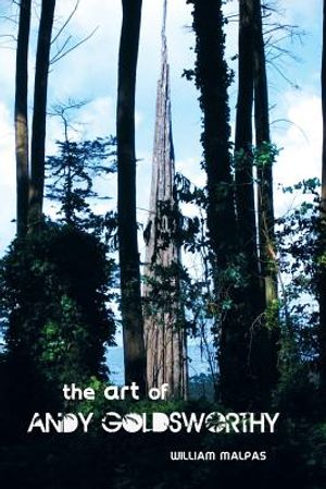 The Art of Andy Goldsworthy image number 0