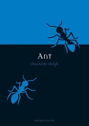 Ant image number 0