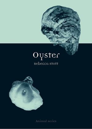 Oyster image number 0