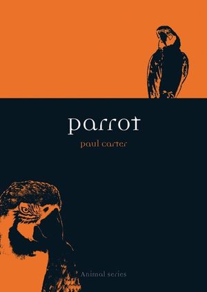Parrot image number 0
