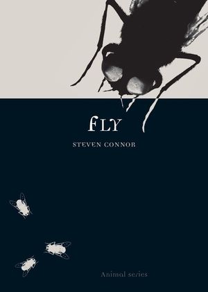 Fly image number 0