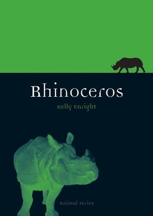 Rhinoceros image number 0