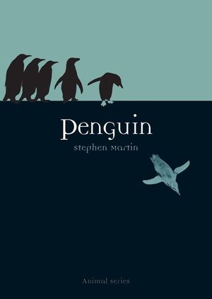 Penguin image number 0