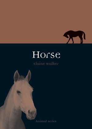 Horse image number 0