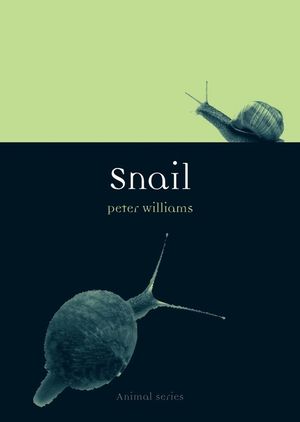 Snail image number 0