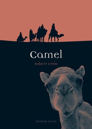 Camel image number 0