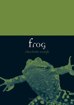 Frog image number 0