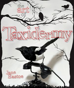 The Art of Taxidermy image number 0