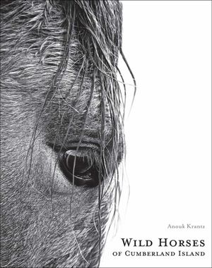 Wild Horses of Cumberland Island image number 0