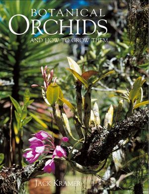 Botanical Orchids image number 0