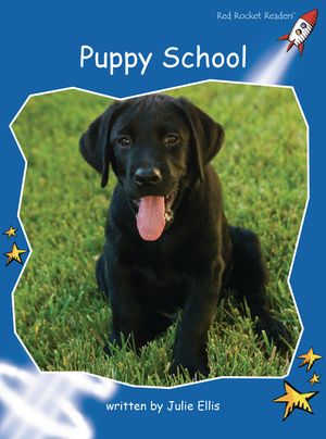 Puppy School image number 0