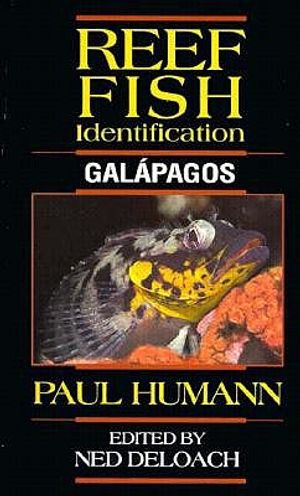 Reef Fish Identification: Galapagos image number 0