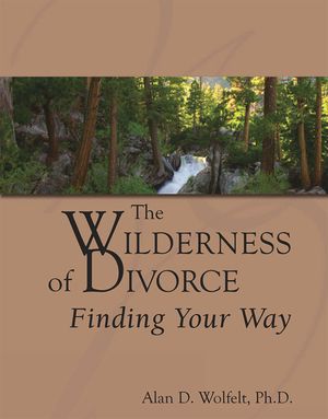 The Wilderness of Divorce: Finding Your Way image number 0