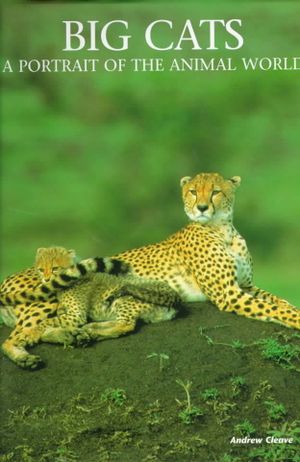 Big Cats image number 0