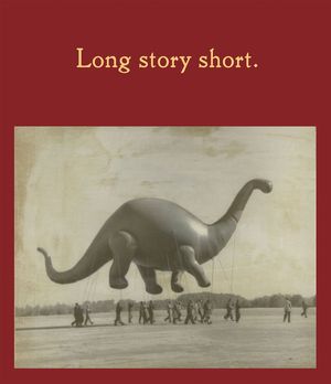 Long Story Short image number 0