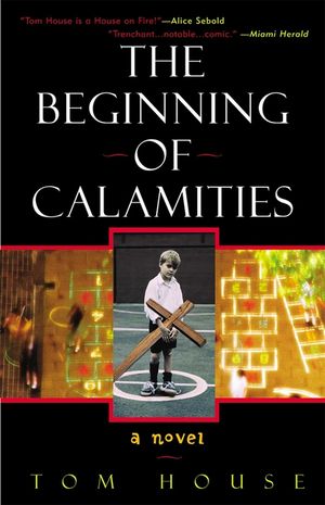 The Beginning of Calamities image number 0