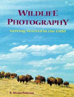 Wildlife Photography: Getting Started in the Field image number 0