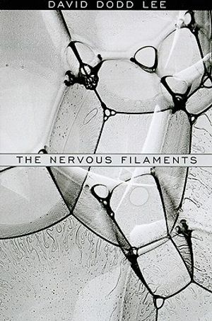 The Nervous Filaments image number 0