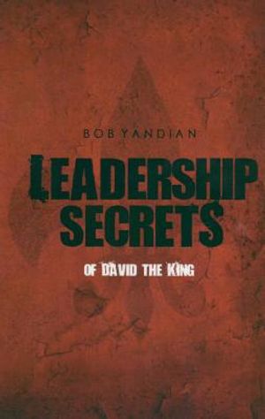 Leadership Secrets of David the King image number 0