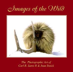 Images of the Wild image number 0