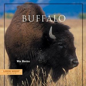 Buffalo image number 0