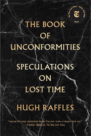 The Book of Unconformities: Speculations on Lost Time image number 0