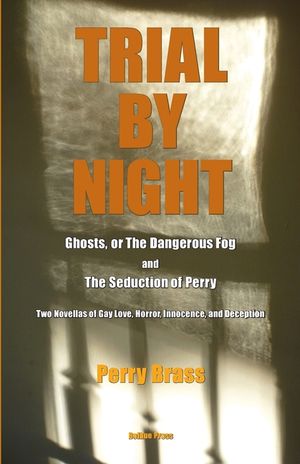 Trial by Night: Two Novellas of Gay Love, Horror, Innocence, and Deception image number 0