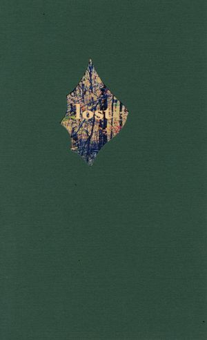 Lost and Certain of It image number 0