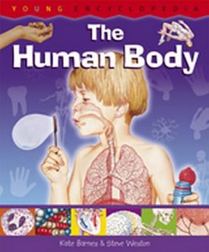 The Human Body: Why Do We Sweat When We Are Hot? How Do We Fight Germs? Age image number 0
