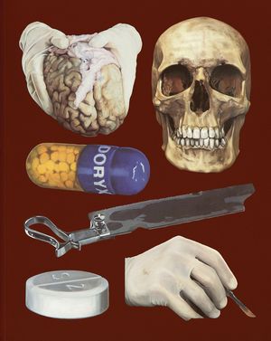 Damien Hirst: The Elusive Truth image number 0