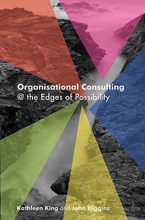 Organisational Consulting: A Relational Perspective: Theories and Stories from the Field image number 0