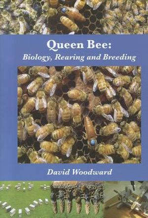 Queen Bee: Biology, Rearing and Breeding image number 0