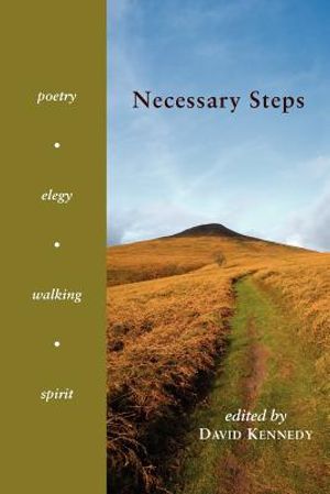 Necessary Steps image number 0