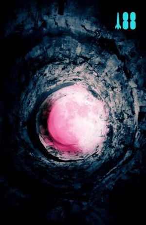 Pink Moon, a Story about Nick Drake image number 0