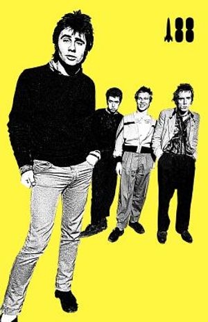 I Was a Teenage Sex Pistol image number 0