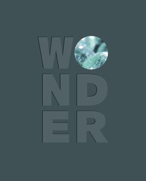 Wonder image number 0