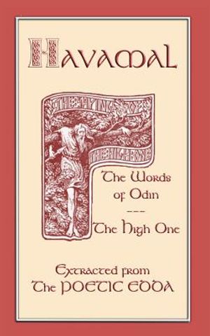 The Havamal - Sayings of the High One image number 0