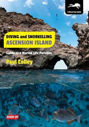 Diving and Snorkelling Ascension Island: Guide to a Marine Life Paradise image number 0