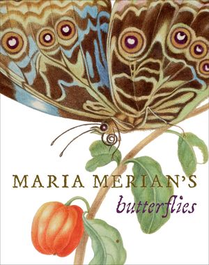 Maria Merian's Butterflies image number 0