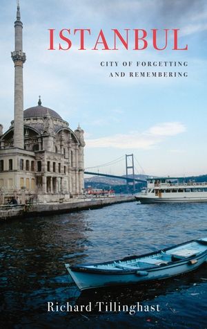 Istanbul: City of Forgetting and Remembering image number 0