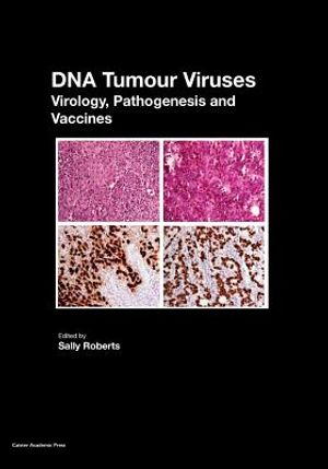 DNA Tumour Viruses: Virology, Pathogenesis and Vaccines image number 0