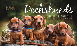 Dachshunds: The Long and the Short of Them image number 0