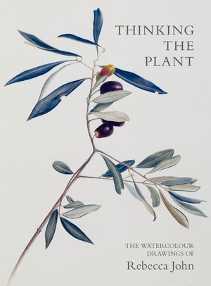 Thinking the Plant: The Watercolour Drawings of Rebecca John image number 0