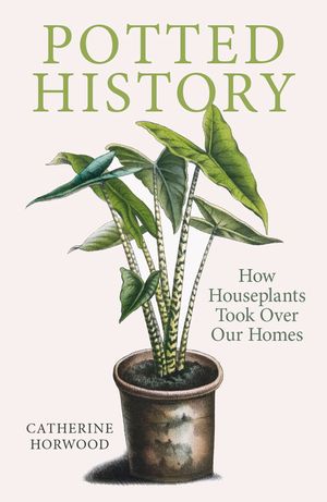 Potted History: How Houseplants Took Over Our Homes image number 0