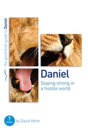 Daniel: Staying Strong in a Hostile World: 7 Studies for Individuals or Groups image number 0