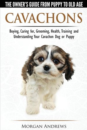 Cavachons - The Owner's Guide from Puppy to Old Age - Choosing, Caring for, Grooming, Health, Training and Understanding Your Cavachon Dog or Puppy image number 0