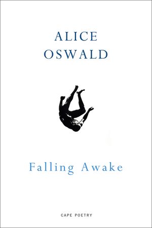 Falling Awake image number 0