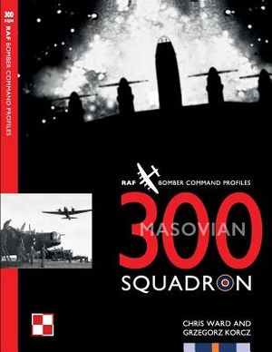 300 Squadron image number 0