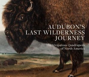 Audubon's Last Wilderness Journey: The Viviparous Quadrupeds of North America image number 0