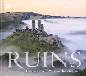 Ruins: Discover Britain's Wild and Beautiful Places image number 0